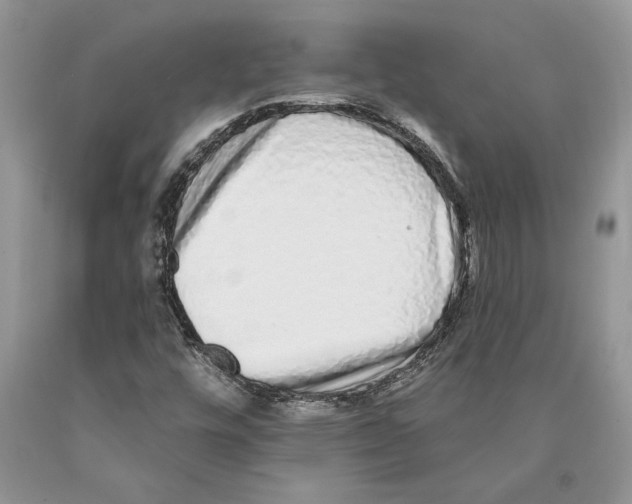 X0000089961448200707271851