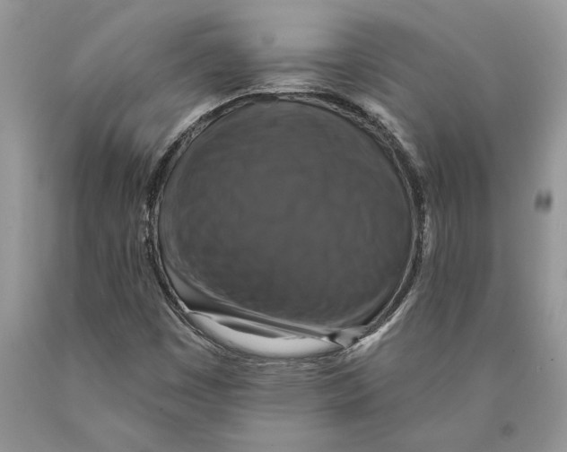 X0000089961449200707271851