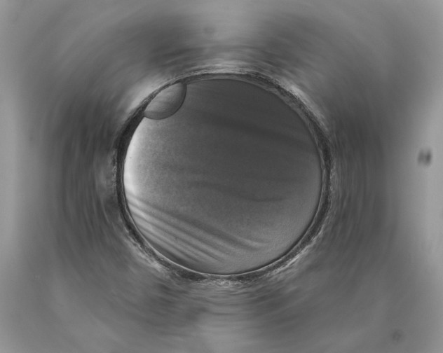 X0000089961450200707271851