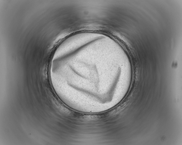 X0000089961451200707271851