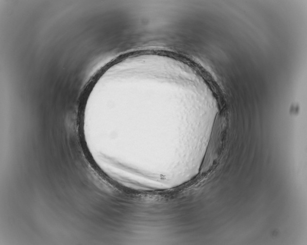 X0000089961452200707271851