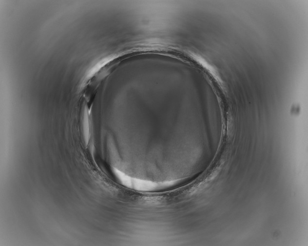 X0000089961453200707271851