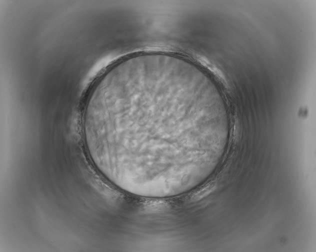 X0000089961454200707271851