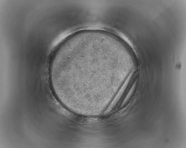 X0000089961456200707271851