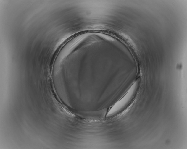 X0000089961457200707271851