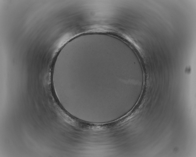 X0000089961459200707271851