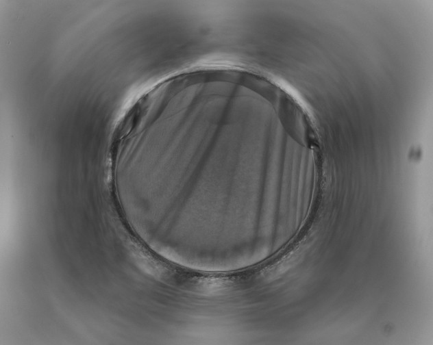 X0000089961461200707271851