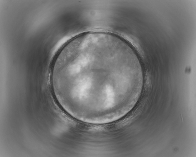 X0000089961462200707271851