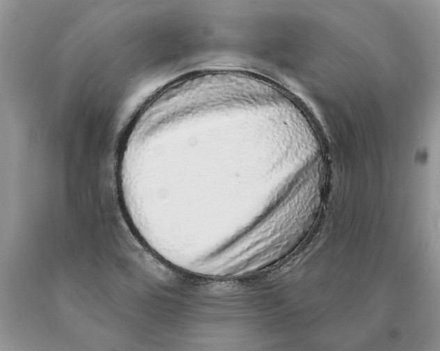 X0000089961464200707271851