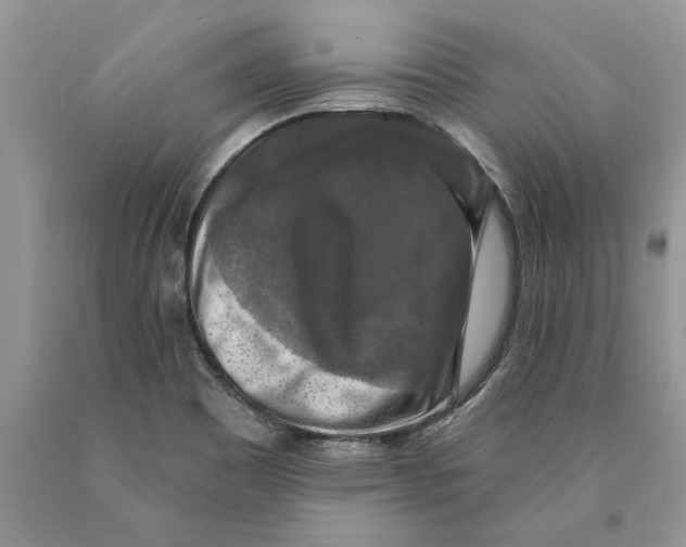 X0000089961465200707271851