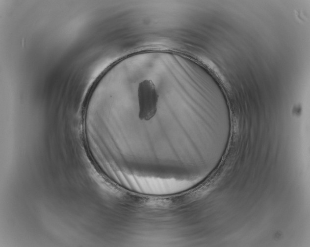 X0000089961466200707271851