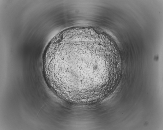 X0000089961467200707271851