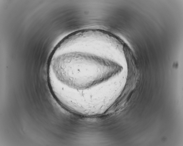 X0000089961468200707271851