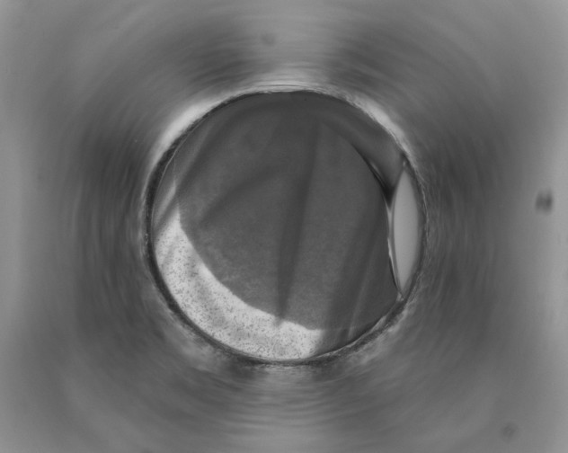 X0000089961469200707271851