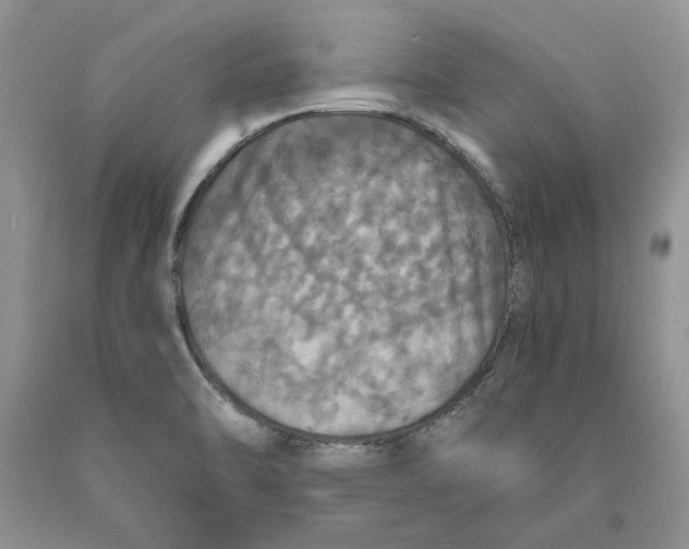 X0000089961470200707271851