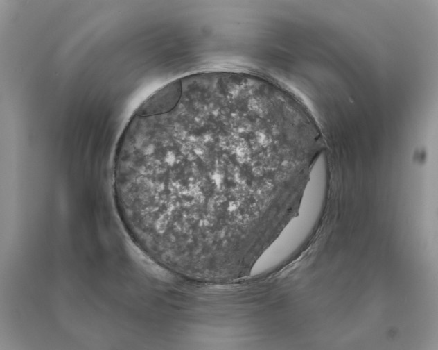 X0000089961471200707271851