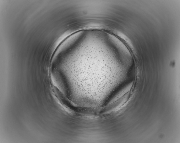 X0000089961473200707271851