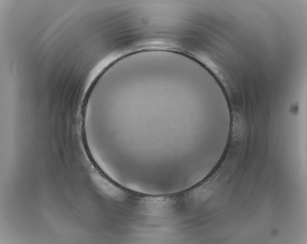 X0000089961474200707271851