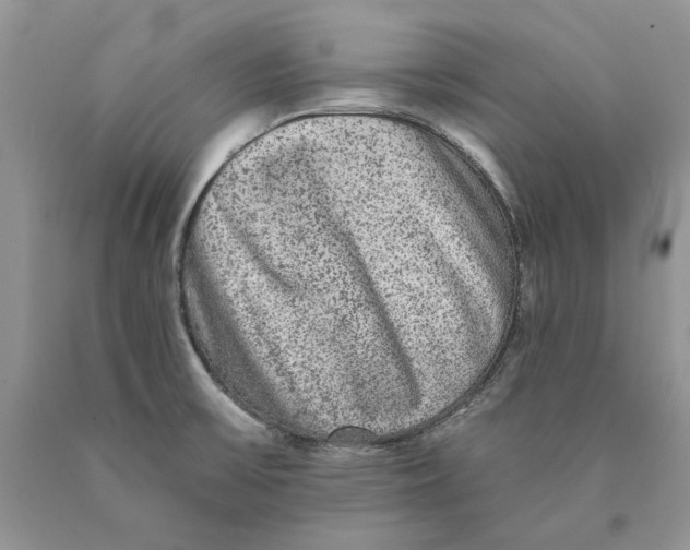 X0000089961475200707271851