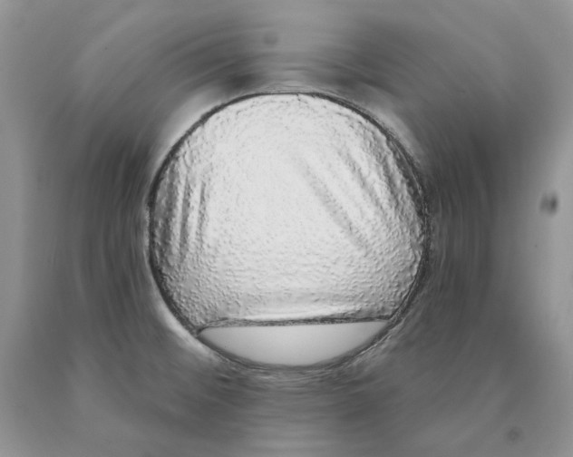 X0000089961476200707271851