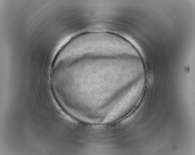 X0000089961477200707271851