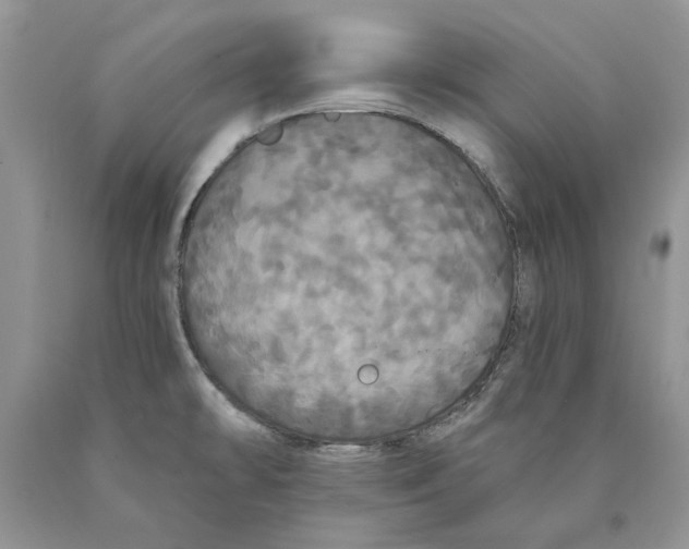 X0000089961478200707271851