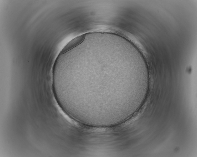 X0000089961479200707271851