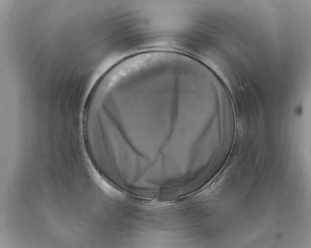 X0000089961482200707271851