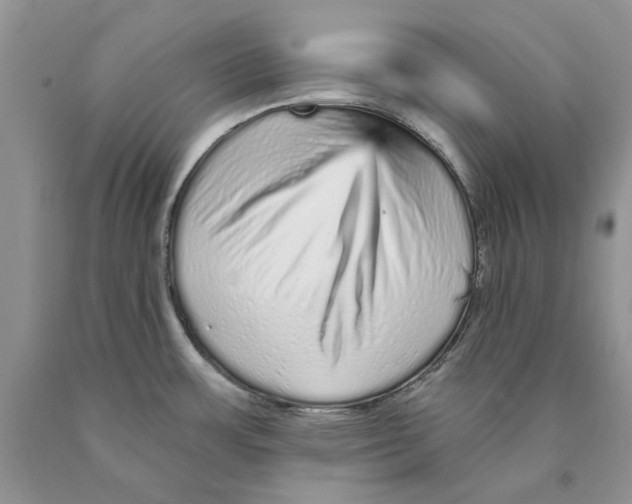 X0000089961483200707271851