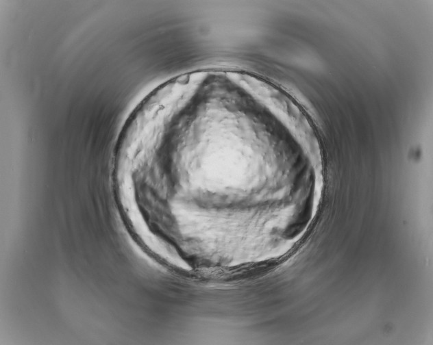 X0000089961484200707271851