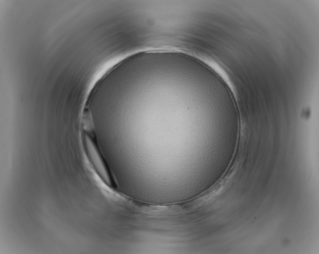 X0000089961485200707271851