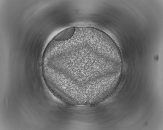 X0000089961486200707271851