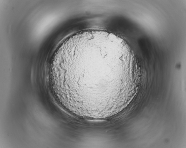 X0000089961487200707271851