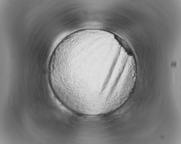 X0000089961488200707271851