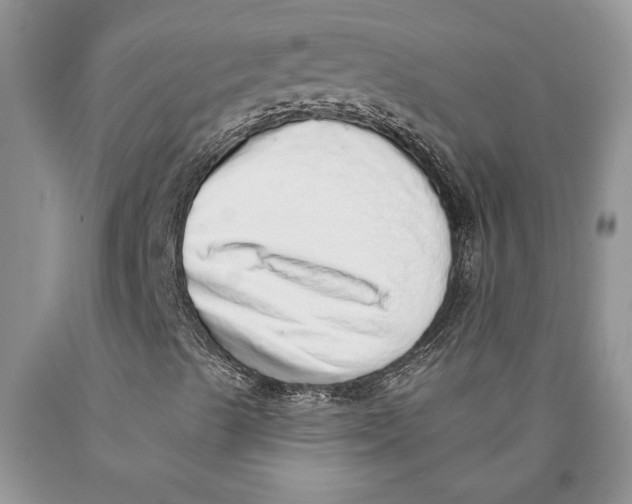 X0000089961489200707271850