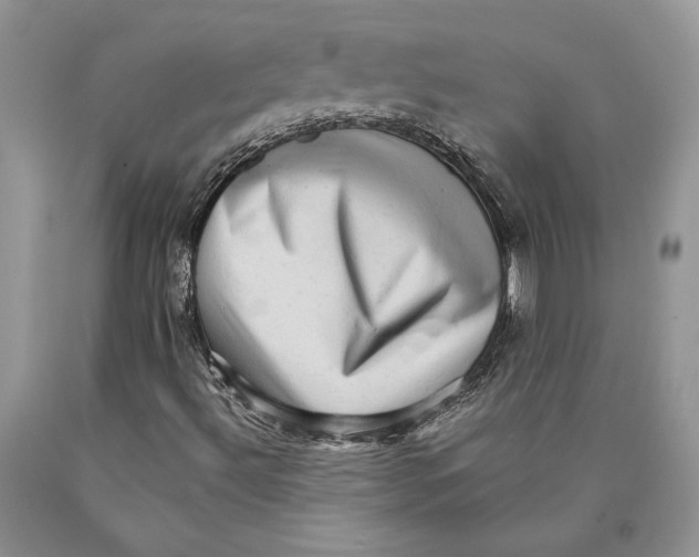 X0000089961492200707271850