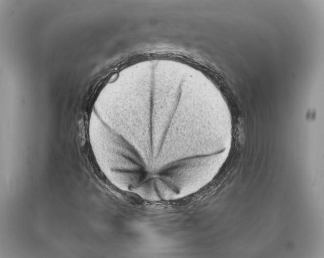 X0000089961493200707271850