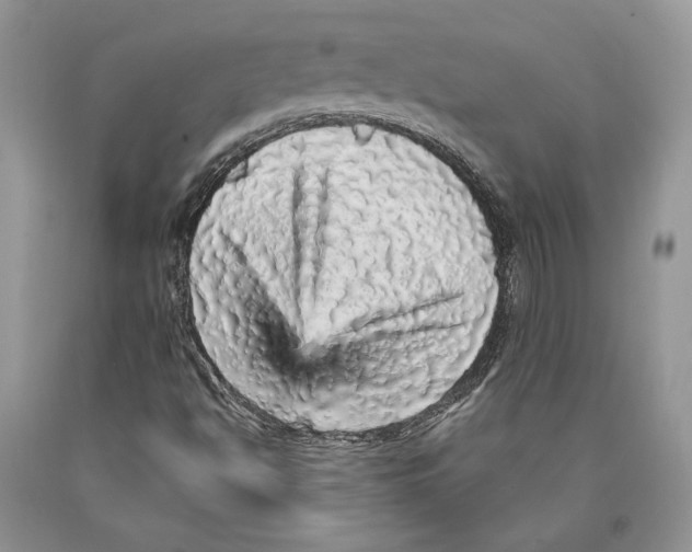 X0000089961494200707271850