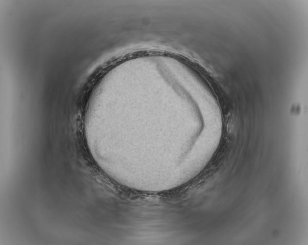 X0000089961495200707271850