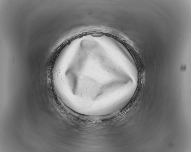 X0000089961496200707271850