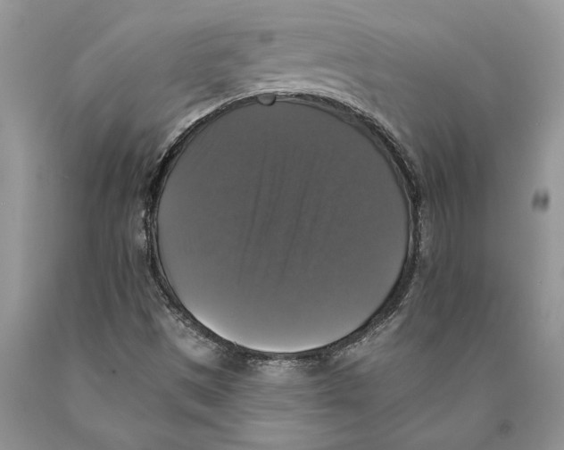 X0000089961497200707271850