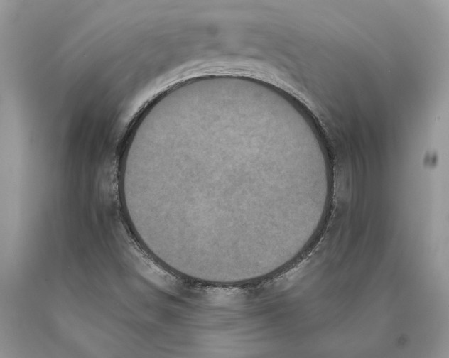 X0000089961498200707271850