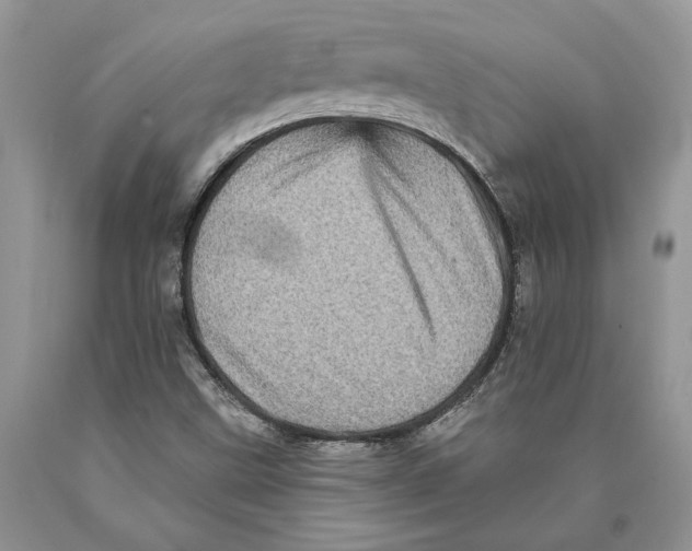 X0000089961499200707271850