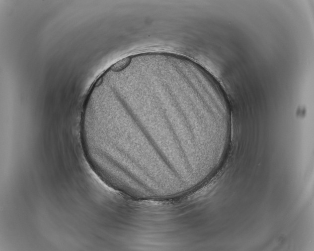 X0000089961500200707271850