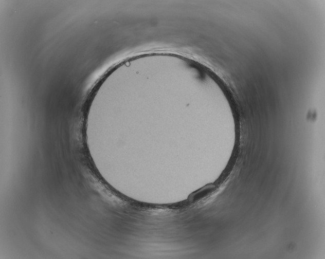 X0000089961502200707271850