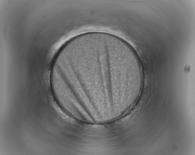 X0000089961503200707271850