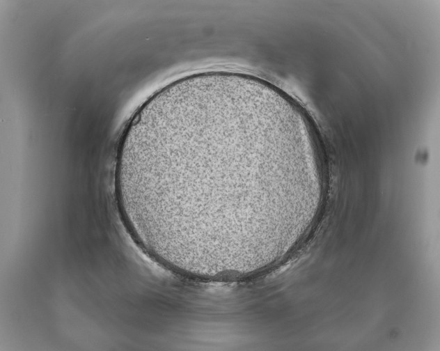 X0000089961504200707271850