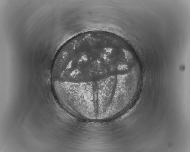 X0000089961505200707271850