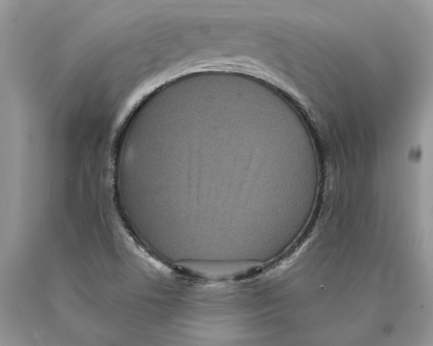 X0000089961506200707271850