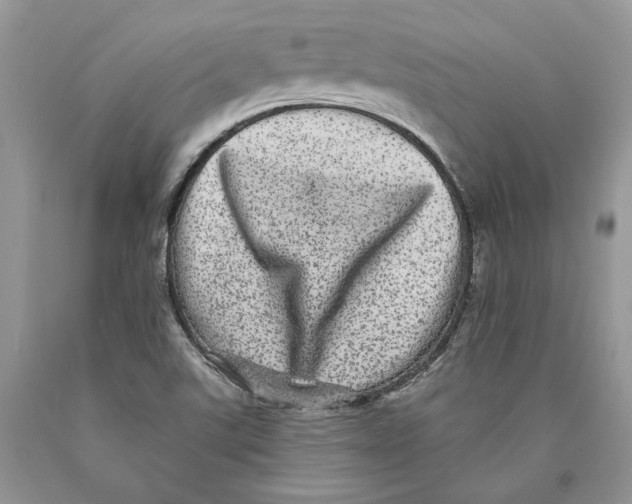 X0000089961507200707271850